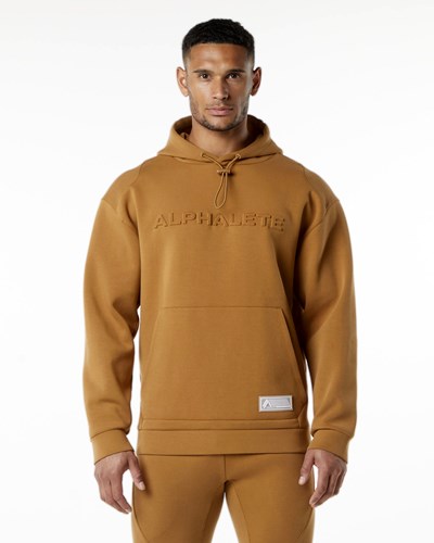 Almond Alphalete Relaxed Interlock Knit Hoodie | 46315-FXUG