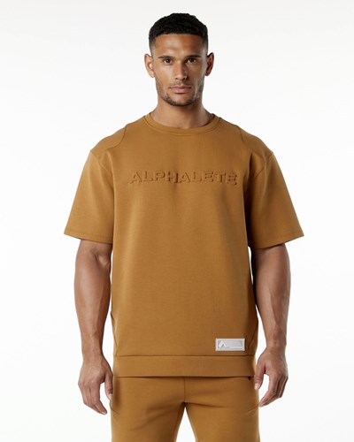 Almond Alphalete Relaxed Interlock Knit Pullover | 63297-OFAU