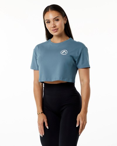Atlantic Blue Alphalete Fitted Performance Short Sleeve Crop | 98571-PMQL
