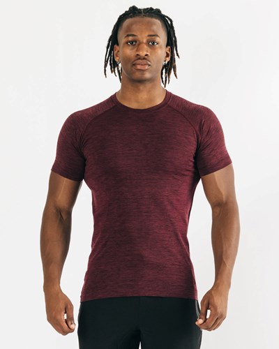 Black Cherry Alphalete High Performance Seamless Short Sleeve Tee | 47283-JQUD