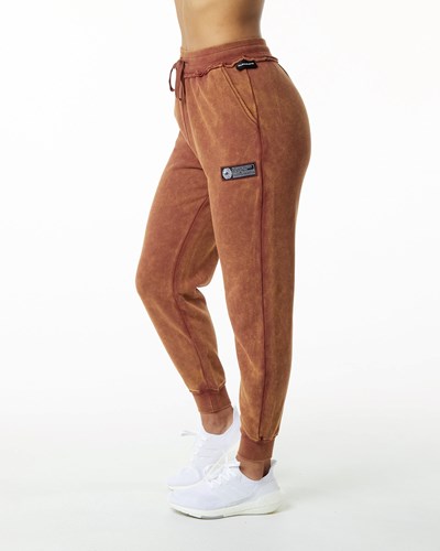 Bloodstone Alphalete Heavyweight Washed Terry Jogger | 04739-SQKN