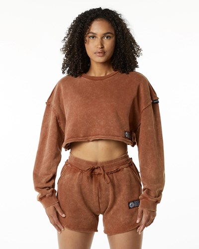 Bloodstone Alphalete Heavyweight Washed Terry Crop Pullover | 09462-DKUS