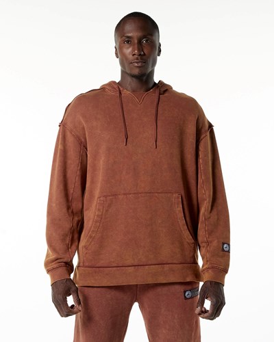 Bloodstone Alphalete Heavyweight Washed Terry Hoodie | 61807-HCER