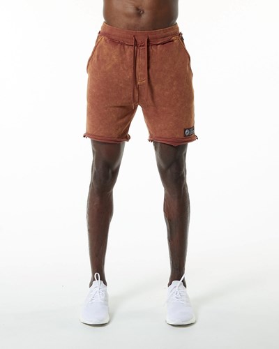 Bloodstone Alphalete Heavyweight Washed Terry Short | 97156-VYHA