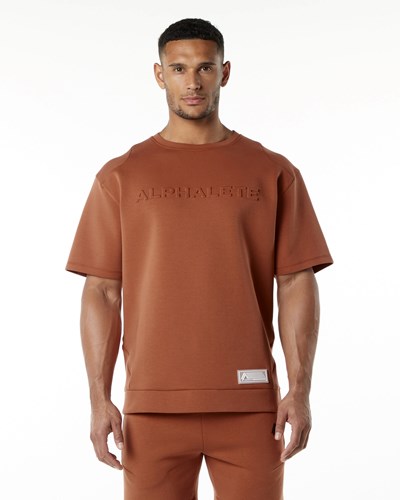 Brick Alphalete Relaxed Interlock Knit Pullover | 24736-ZJDM