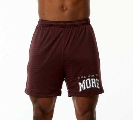 Burgundy Alphalete Luxury Lined 4-Way Stretch Mesh Short | 17630-WGSL