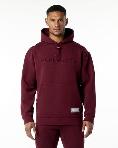 Burgundy Alphalete Relaxed Interlock Knit Hoodie | 20479-HMVI