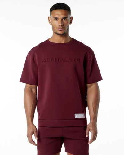 Burgundy Alphalete Relaxed Interlock Knit Pullover | 83021-JLDP