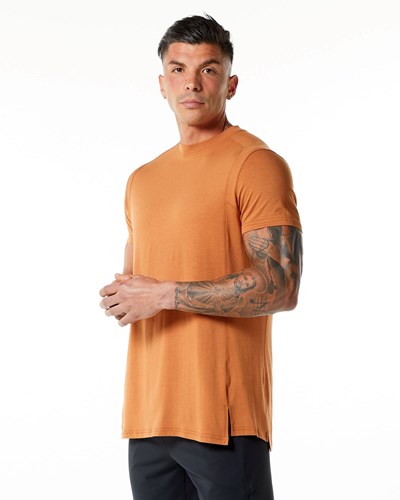 Camel Alphalete High-Neck Premium Short Sleeve Tee | 14572-UMTY