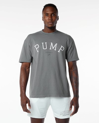 Charcoal Alphalete Heavyweight Graphic Tee | 30958-HSVB