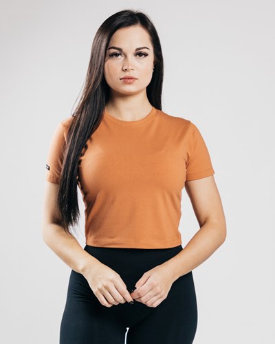 Clay Alphalete Fitted Performance Crop Top | 62951-DHSV