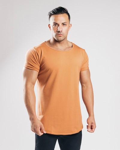 Clay Alphalete Fitted Short Sleeve | 23764-VWJN