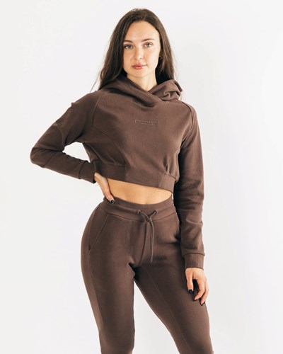 Cocoa Alphalete Relaxed Single-Brushed Pullover Hoodie | 82630-RKJZ