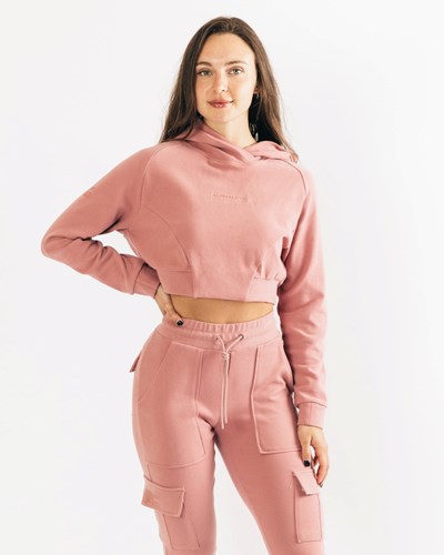 Cranberry Ice Alphalete Relaxed Single-Brushed Pullover Hoodie | 02719-BGCO