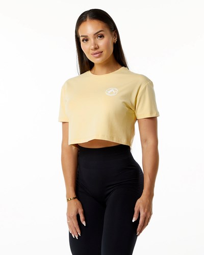 Daffodil Alphalete Fitted Performance Short Sleeve Crop | 03564-RXCY
