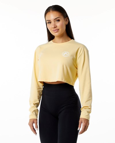 Daffodil Alphalete Oversized Performance Long Sleeve Crop | 38517-OGQC