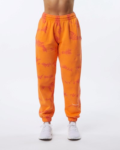 Day Tripper Alphalete Washed 30" Fleece Jogger | 97348-VRDC