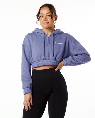 Digital Violet Alphalete Brushed Fleece Half-Zip Crop Hoodie | 98713-HCXF