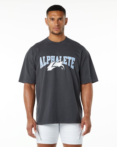 Dolphin Blue Alphalete Heavyweight Oversized Tee | 91824-OHKY