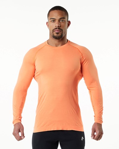 Faded Day Tripper Alphalete High Performance Seamless Long Sleeve Tee | 41078-EFXW