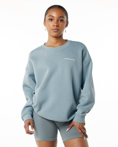 Fog Blue Alphalete Brushed Fleece Crewneck Sweater | 02614-SCWZ