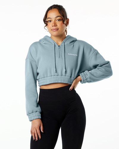 Fog Blue Alphalete Brushed Fleece Half-Zip Crop Hoodie | 84527-QMHY