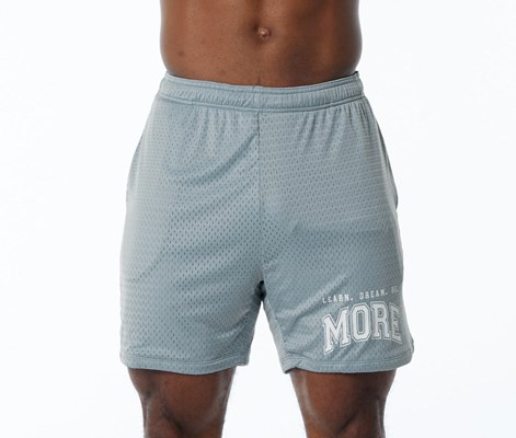 Fog Blue Alphalete Luxury Lined 4-Way Stretch Mesh Short | 86405-FGVY