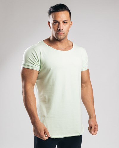 Frozen Spring Alphalete Fitted Short Sleeve | 16704-DRYA