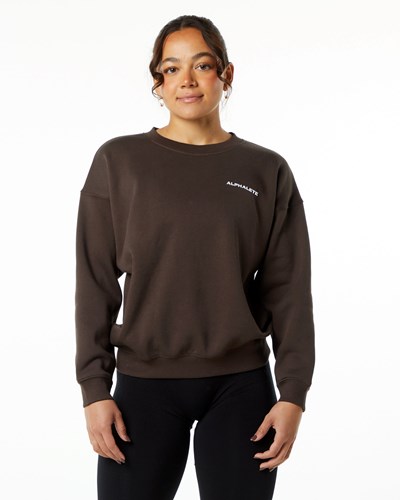 Fudge Brown Alphalete Brushed Fleece Crewneck Sweater | 52731-ZVAG