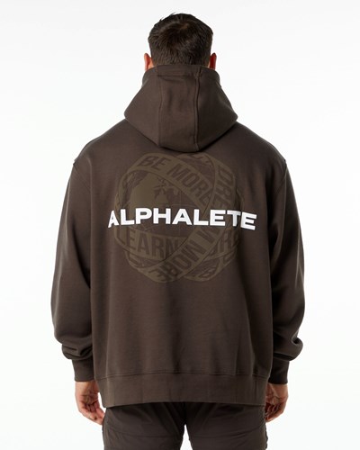 Fudge Brown Alphalete Brushed Fleece Graphic Hoodie | 58340-GHFT