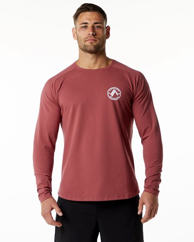 Gingerbread Alphalete Fitted Performance Long Sleeve | 51934-LGKD