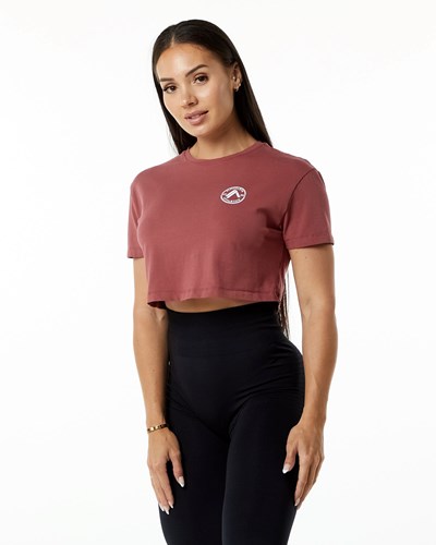 Gingerbread Alphalete Fitted Performance Short Sleeve Crop | 85023-WMVX