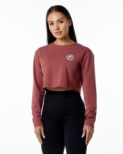 Gingerbread Alphalete Oversized Performance Long Sleeve Crop | 49278-HSXL