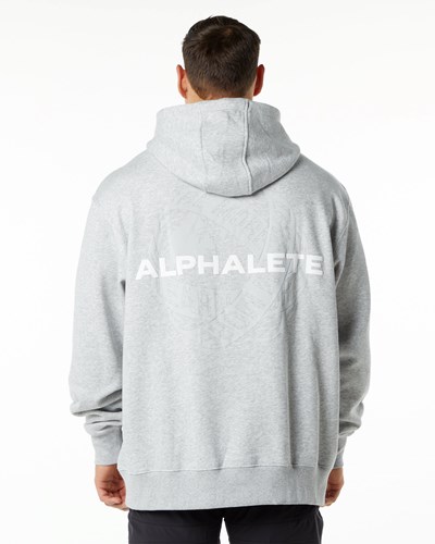 Heather Grey Alphalete Brushed Fleece Graphic Hoodie | 86973-SNPF