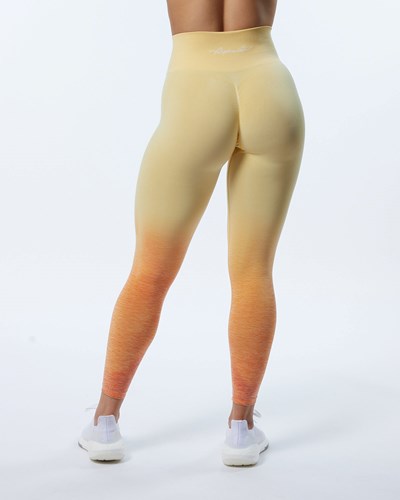 Honey Alphalete Ombre Seamless Scrunch Legging | 27148-MGPZ