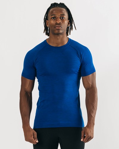 Hydro Blue Alphalete High Performance Seamless Short Sleeve Tee | 14976-NTVF