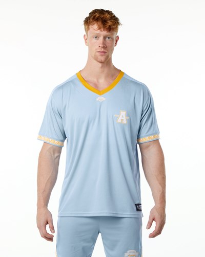 Light Blue Alphalete Oversized Short Sleeve Jersey | 26790-IQYH