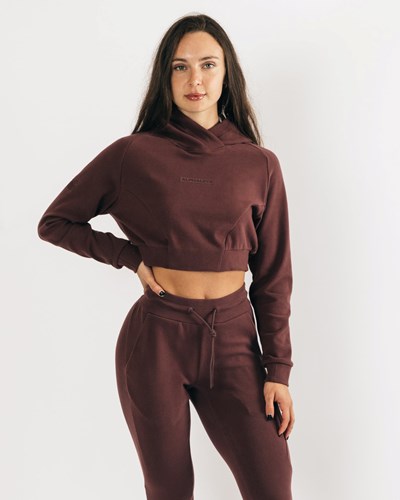 Mahogany Alphalete Relaxed Single-Brushed Pullover Hoodie | 28964-TYVD