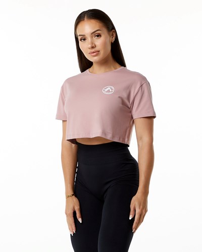 Mauve Alphalete Fitted Performance Short Sleeve Crop | 01574-YHZF