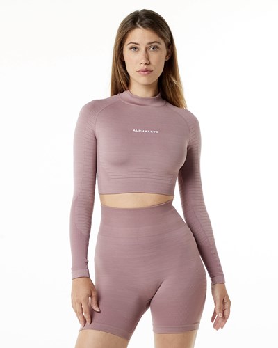 Mauve Alphalete High Performance Seamless Long Sleeve Tee | 26908-XMPJ