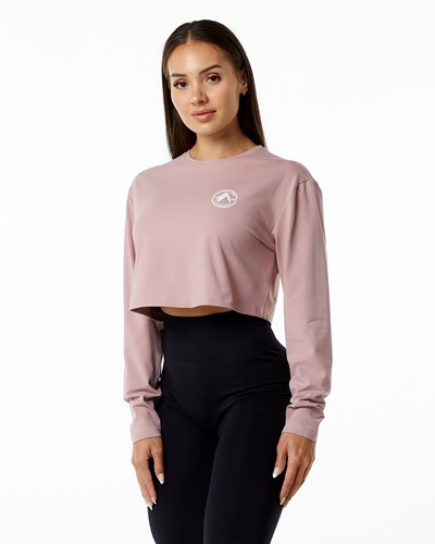 Mauve Alphalete Oversized Performance Long Sleeve Crop | 27065-BAXL