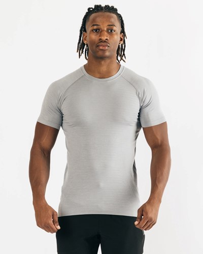 Medium Grey Alphalete High Performance Seamless Short Sleeve Tee | 68931-GKAT