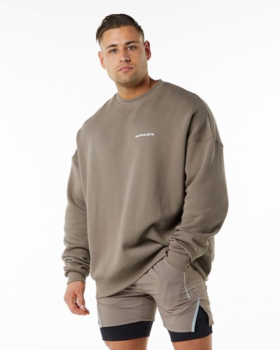 Mocha Alphalete Brushed Fleece Crewneck Sweater | 21349-XIND