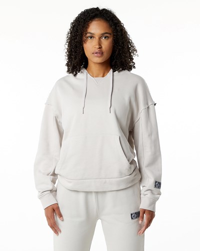 Moonstone Alphalete Heavyweight Washed Terry Hoodie | 17354-QPDG