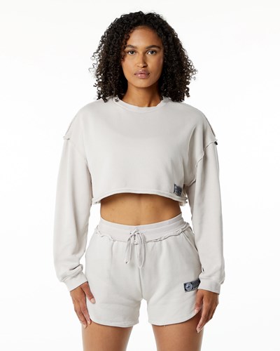 Moonstone Alphalete Heavyweight Washed Terry Crop Pullover | 40317-MILS