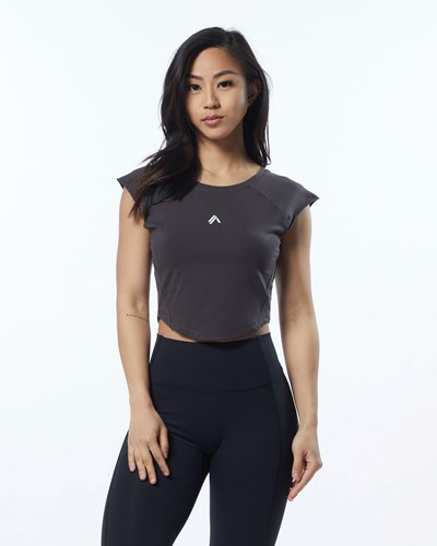Obscure Grey Alphalete High Performance Short Sleeve Crop Tee | 34578-ASOR