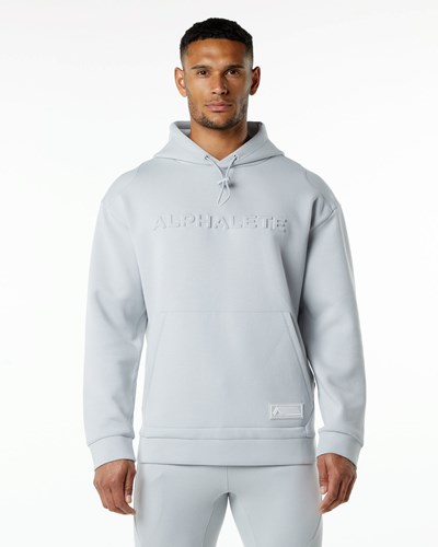 Oyster Grey Alphalete Relaxed Interlock Knit Hoodie | 45180-YAKJ