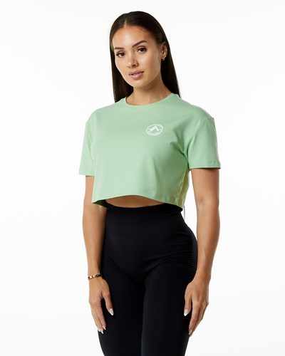 Pistachio Alphalete Fitted Performance Short Sleeve Crop | 82416-HSDN