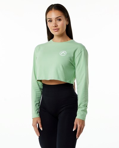 Pistachio Alphalete Oversized Performance Long Sleeve Crop | 52186-LROY