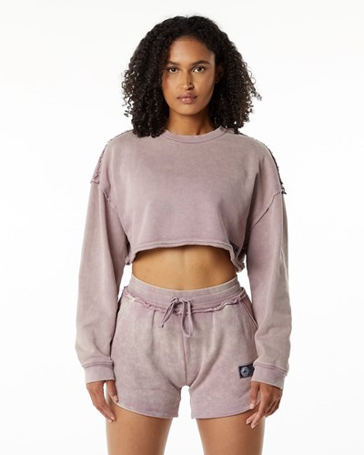 Rose Quartz Alphalete Heavyweight Washed Terry Crop Pullover | 05612-KMYN